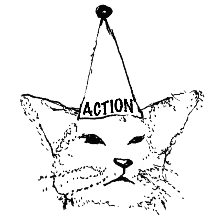 Action Cat Zine